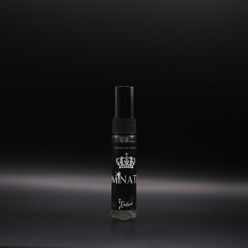 Dominateur Probe